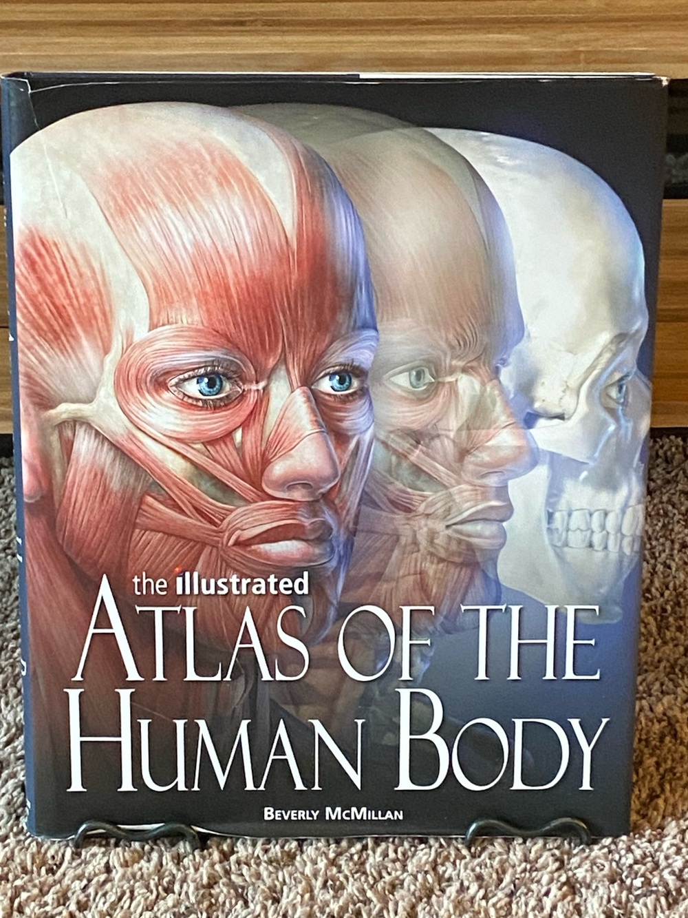The Illustrated Atlas of the Human Body - Anatomy Art Cover